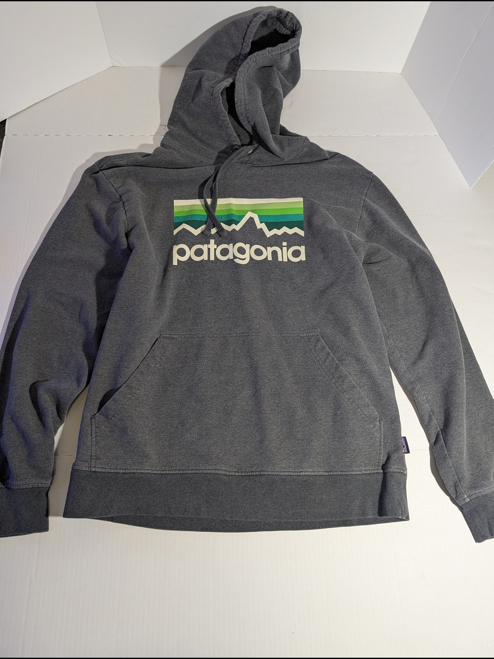 Patagonia Men's Gray Pullover Hoodie with Mountain Logo